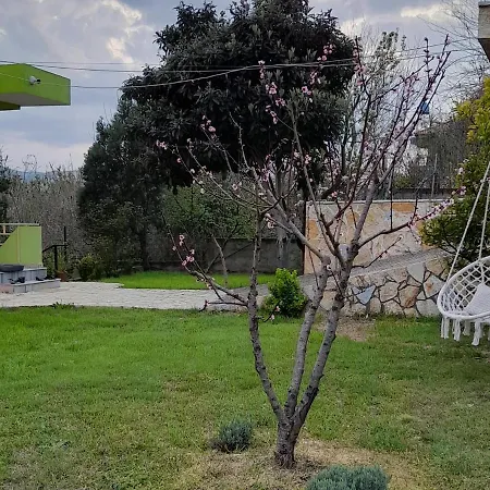 Cortina House Berat Apartment