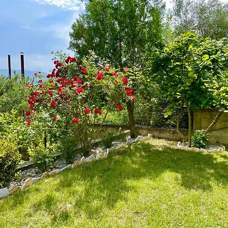 Cortina House Berat Апартаменты *