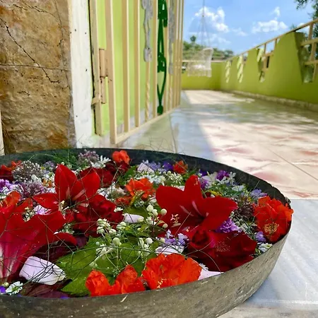 Cortina House Berat Apartment *