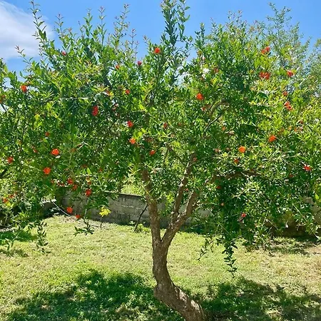 Cortina House Berat * Stalin