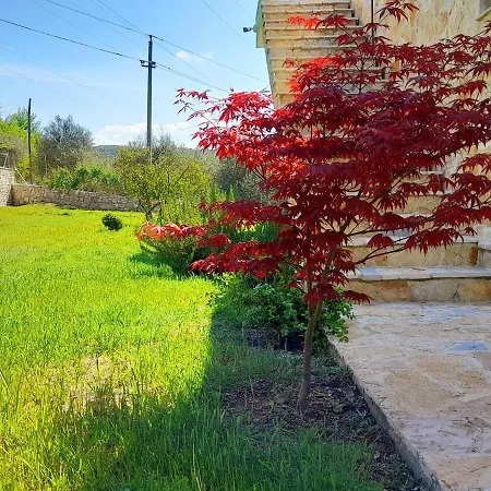 Cortina House Berat Κουτσόβα