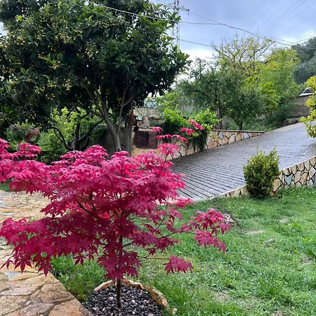 Cortina House Berat *