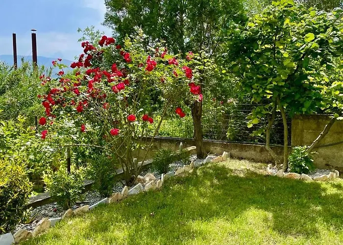 Cortina House Berat דירה *