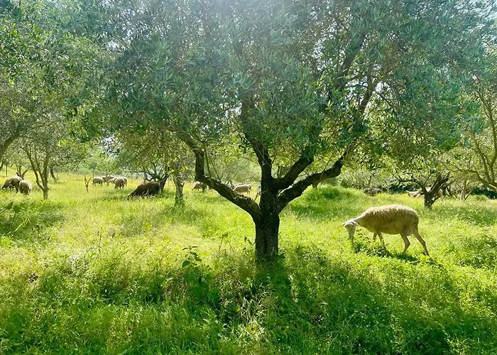 דירה Cortina House Berat