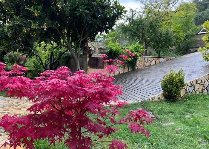 Cortina House Berat *